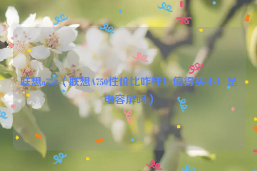 联想a750（联想A750性价比咋样！值得买不！是电容屏吗）