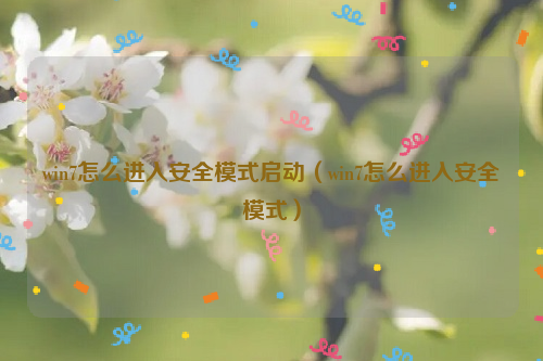 win7怎么进入安全模式启动（win7怎么进入安全模式）