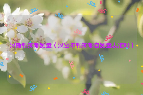 汉斯顿抑郁测量（汉密尔顿抑郁自测量表准吗）