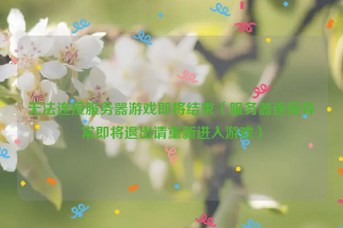 无法连接服务器游戏即将结束（服务器连接异常即将退出请重新进入游戏）