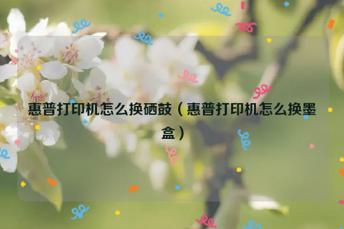 惠普打印机怎么换硒鼓（惠普打印机怎么换墨盒）