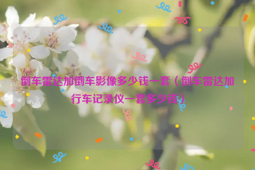 倒车雷达加倒车影像多少钱一套（倒车雷达加行车记录仪一套多少钱）