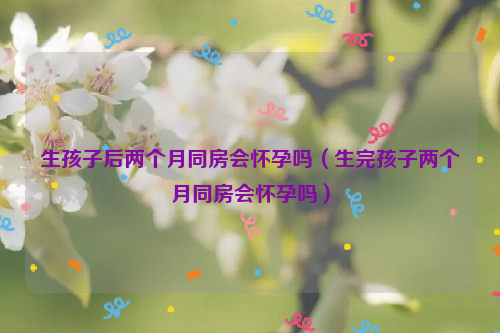 生孩子后两个月同房会怀孕吗（生完孩子两个月同房会怀孕吗）
