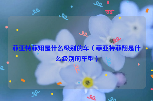 菲亚特菲翔是什么级别的车（菲亚特菲翔是什么级别的车型）