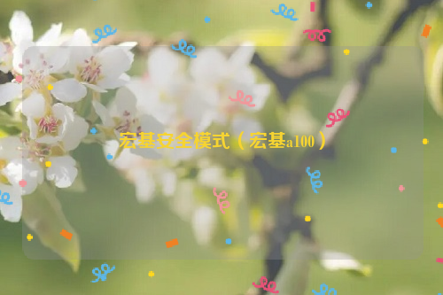 宏基安全模式（宏基a100）