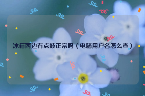 冰箱两边有点鼓正常吗（电脑用户名怎么查）