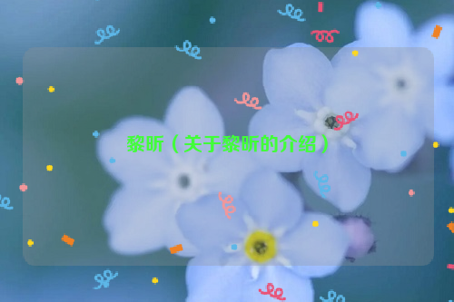 黎昕（关于黎昕的介绍）