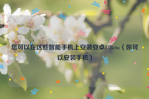 您可以在这些智能手机上安装安卓13Beta（你可以安装手机）