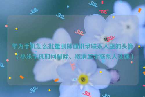 华为手机怎么批量删除通讯录联系人里的头像（小米手机如何删除、取消显示联系人头像）