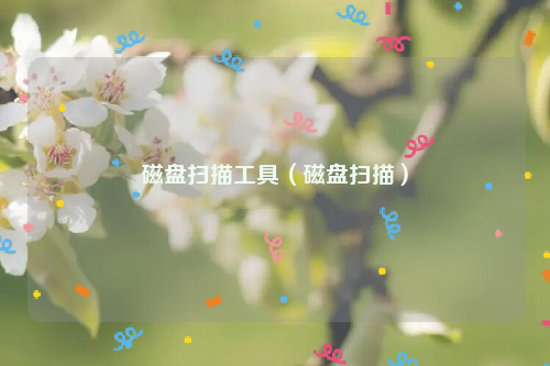 磁盘扫描工具（磁盘扫描）