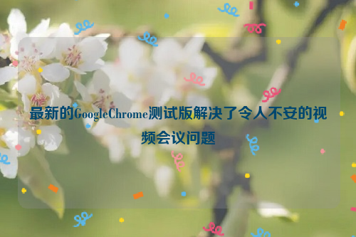 最新的GoogleChrome测试版解决了令人不安的视频会议问题