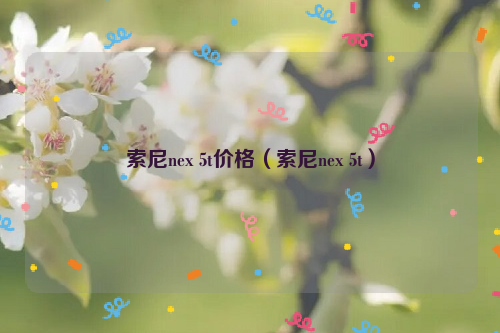 索尼nex 5t价格（索尼nex 5t）