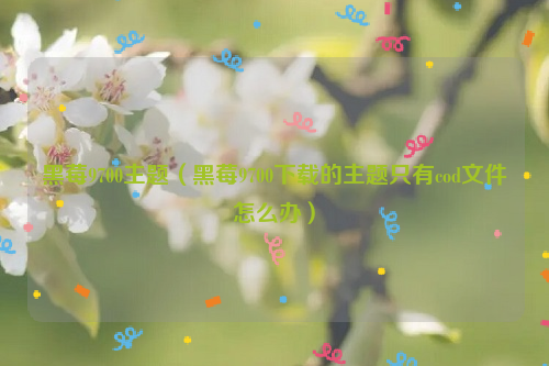 黑莓9700主题（黑莓9700下载的主题只有cod文件怎么办）