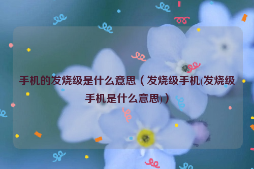 手机的发烧级是什么意思（发烧级手机(发烧级手机是什么意思)）