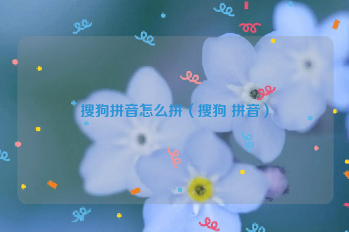搜狗拼音怎么拼（搜狗 拼音）