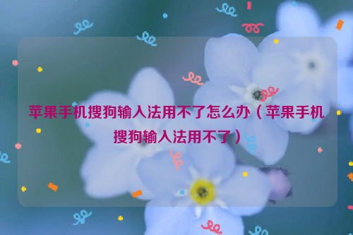苹果手机搜狗输入法用不了怎么办（苹果手机搜狗输入法用不了）