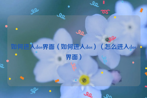 如何进入dos界面（如何进入dos）（怎么进入dos界面）