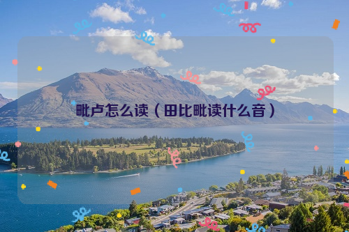 毗卢怎么读（田比毗读什么音）