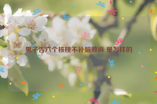 男子告六个核桃不补脑败诉 是怎样的
