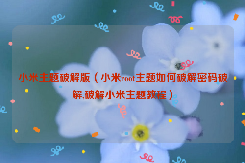 小米主题破解版（小米root主题如何破解密码破解,破解小米主题教程）