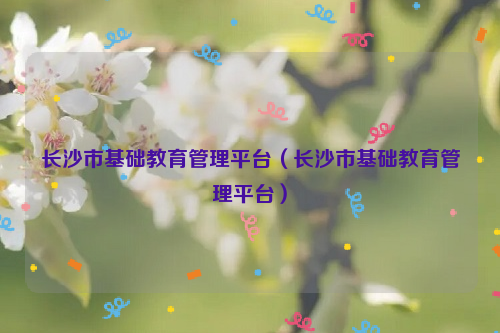 长沙市基础教育管理平台（长沙市基础教育管理平台）