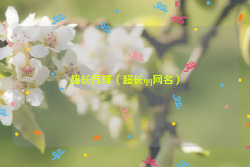 超长汽球（超长qq网名）