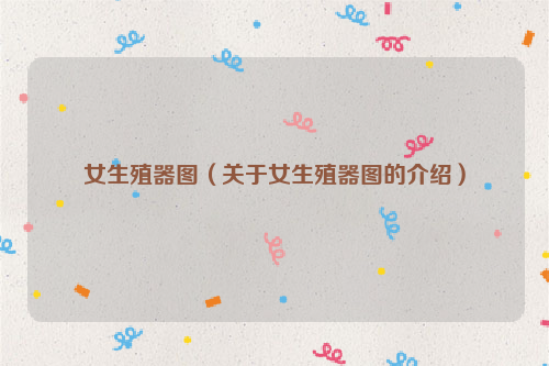 女生殖器图（关于女生殖器图的介绍）