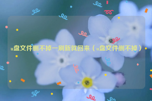 u盘文件删不掉一刷新就回来（u盘文件删不掉）