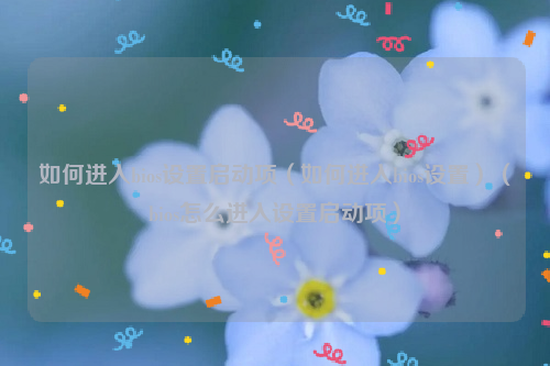 如何进入bios设置启动项（如何进入bios设置）（bios怎么进入设置启动项）