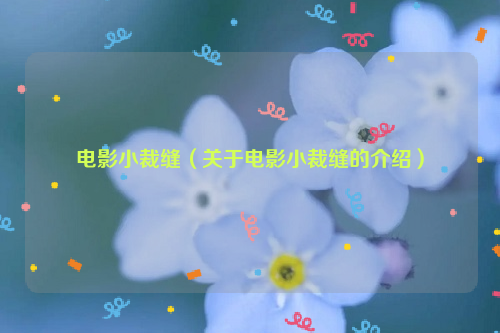 电影小裁缝（关于电影小裁缝的介绍）