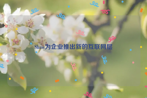 Shaw为企业推出新的互联网层