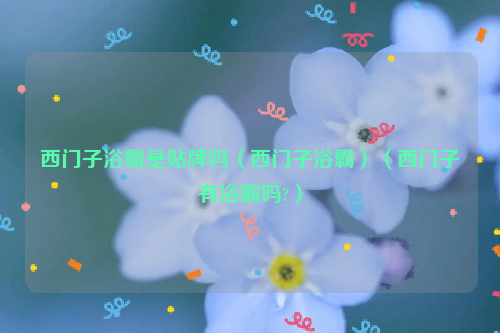 西门子浴霸是贴牌吗（西门子浴霸）（西门子有浴霸吗?）