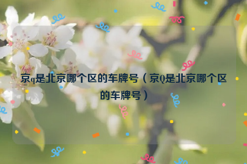 京q是北京哪个区的车牌号（京Q是北京哪个区的车牌号）