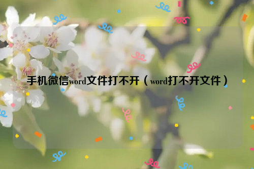 手机微信word文件打不开（word打不开文件）