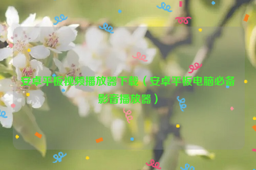 安卓平板视频播放器下载（安卓平板电脑必备影音播放器）