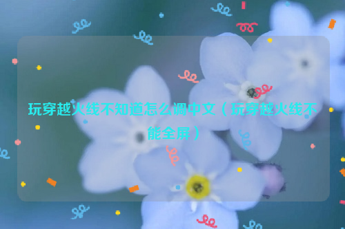 玩穿越火线不知道怎么调中文（玩穿越火线不能全屏）