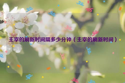 主宰的刷新时间隔多少分钟（主宰的刷新时间）