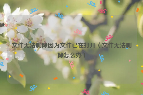 文件无法删除因为文件已在打开（文件无法删除怎么办）