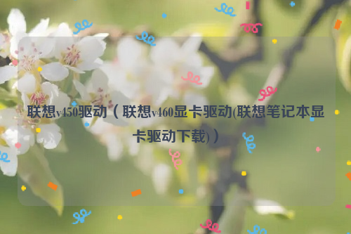 联想v450驱动（联想v460显卡驱动(联想笔记本显卡驱动下载)）
