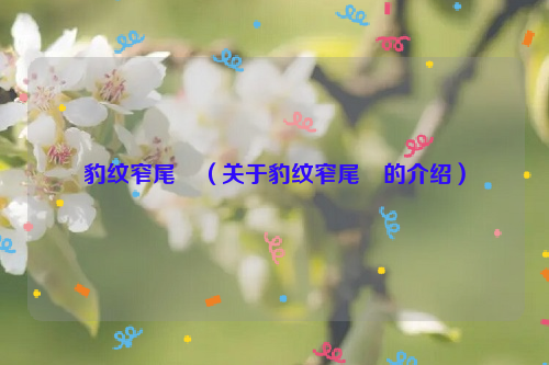 豹纹窄尾魟（关于豹纹窄尾魟的介绍）