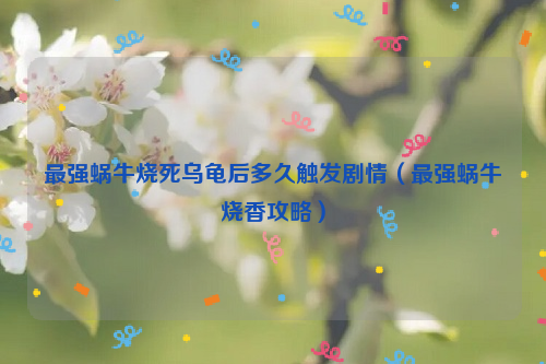 最强蜗牛烧死乌龟后多久触发剧情（最强蜗牛烧香攻略）