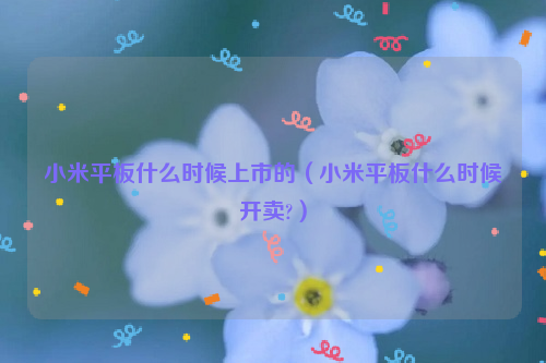 小米平板什么时候上市的（小米平板什么时候开卖?）