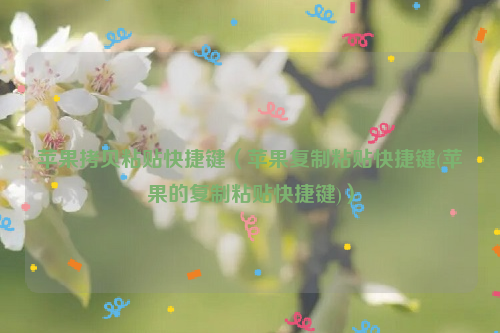 苹果拷贝粘贴快捷键（苹果复制粘贴快捷键(苹果的复制粘贴快捷键)）