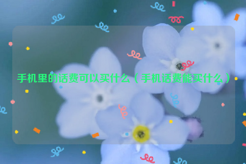 手机里的话费可以买什么（手机话费能买什么）