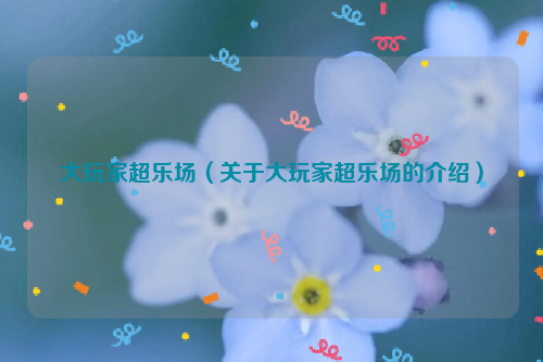 大玩家超乐场（关于大玩家超乐场的介绍）