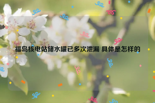 福岛核电站储水罐已多次泄漏 具体是怎样的