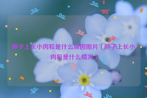 脖子上长小肉粒是什么原因图片（脖子上长小肉粒是什么情况）