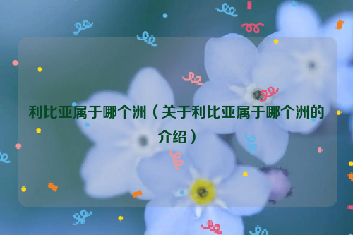 利比亚属于哪个洲（关于利比亚属于哪个洲的介绍）