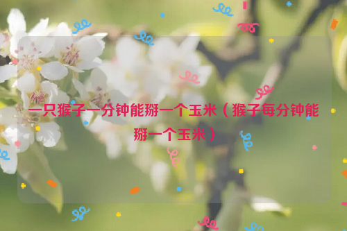 一只猴子一分钟能掰一个玉米（猴子每分钟能掰一个玉米）