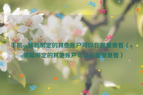 手机qq邮箱绑定的其他账户可以在哪里查看（qq邮箱绑定的其他账户可以在哪里查看）